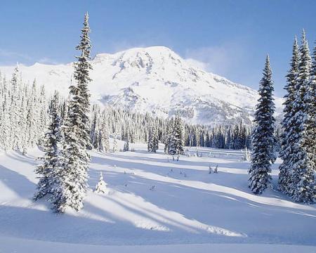 paysage d'hiver